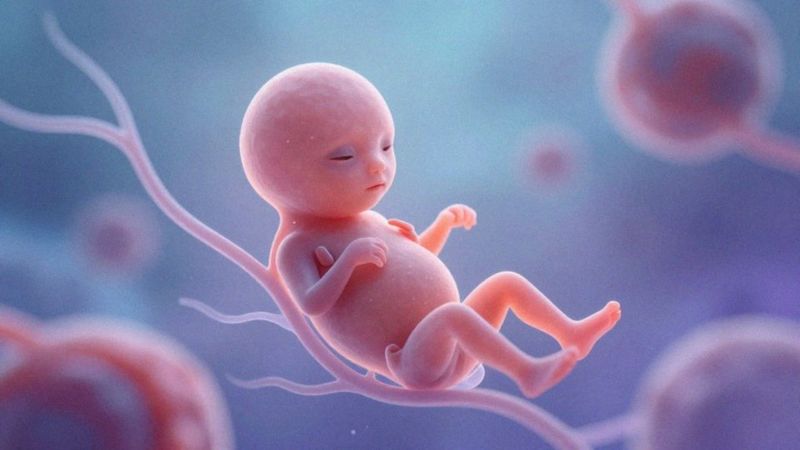 Co rozwija się u dziecka w 6. tygodniu?