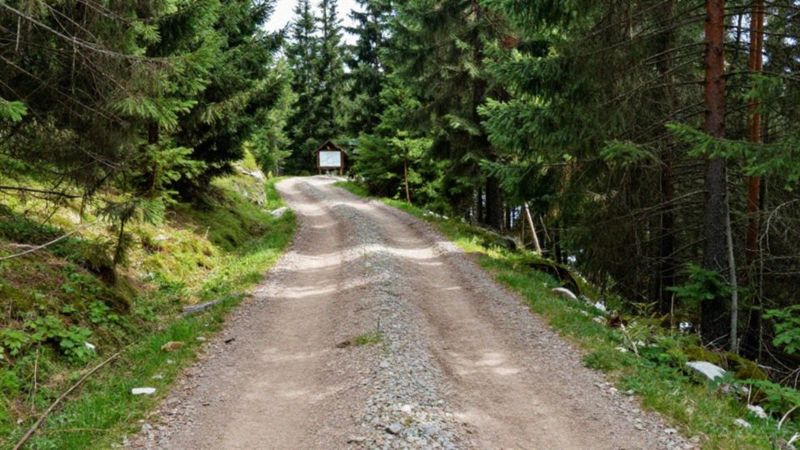 Jak wybrać łatwe szlaki w Karkonoszach dla dzieci?