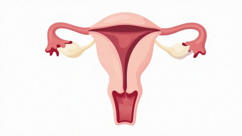 Dlaczego złuszcza się endometrium?