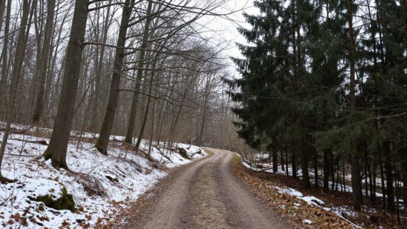 Gdzie na ferie bez nart i śniegu?