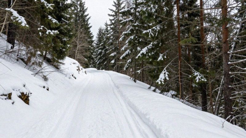 Jak wybrać trasy w górach zimą dla dzieci?