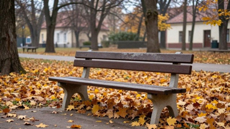 Kiedy rozważyć rozwód lub separację?