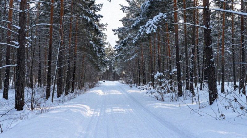 Gdzie można uprawiać sporty zimowe w województwie kujawsko-pomorskim?