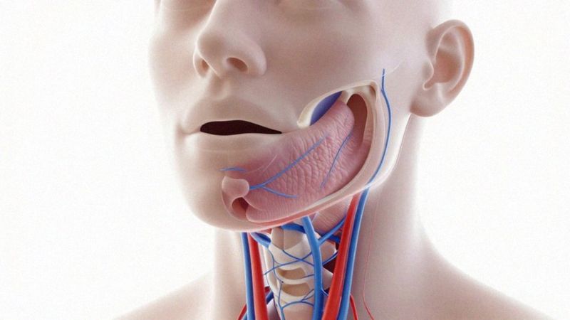 Jak biologiczne czynniki hamują rozwój mowy?
