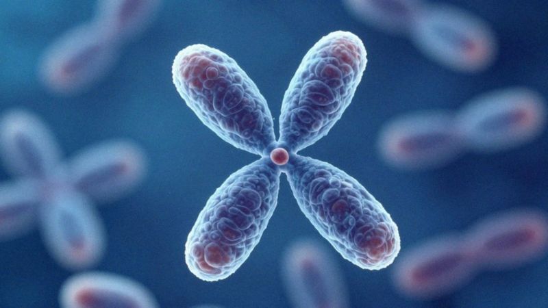 Co najczęściej powoduje poronienie biochemiczne?