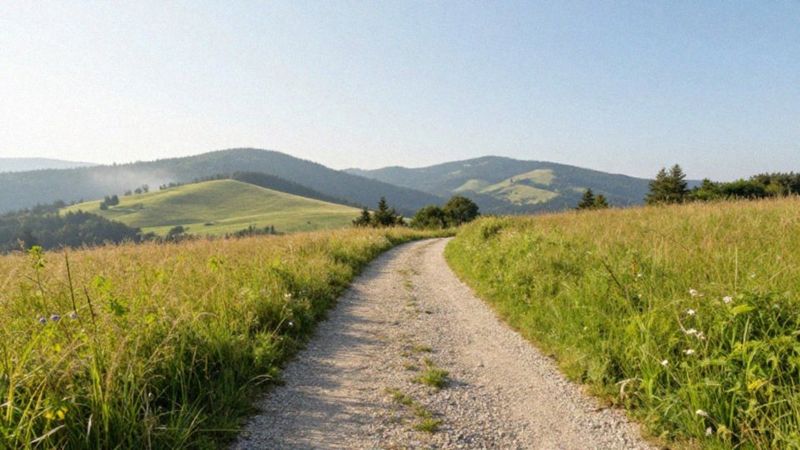 Kiedy najlepiej jechać do Bieszczad z dziećmi?
