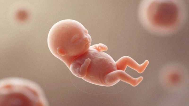 Jak rozwija się zarodek w 5. tygodniu?