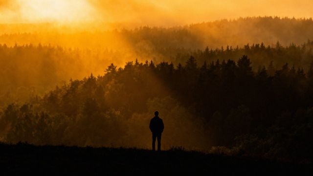 Stres — co to jest i jak działa na organizm?